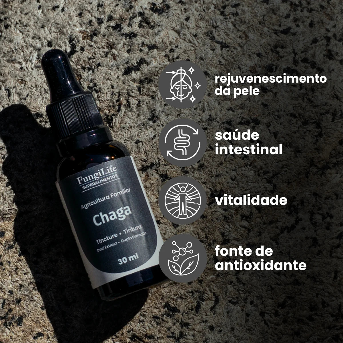 Cogumelo Chaga | Extrato Líquido 30ml
