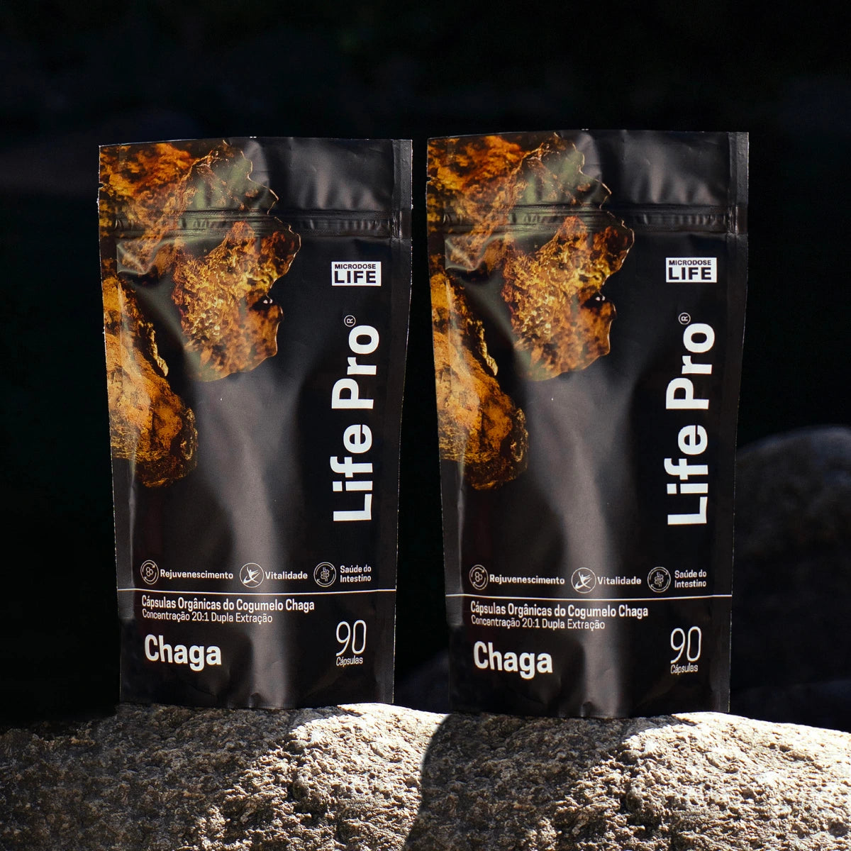 Cogumelo Chaga | Extrato Encapsulado 90 caps