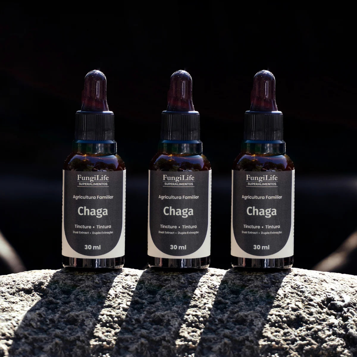 Cogumelo Chaga | Extrato Líquido 30ml