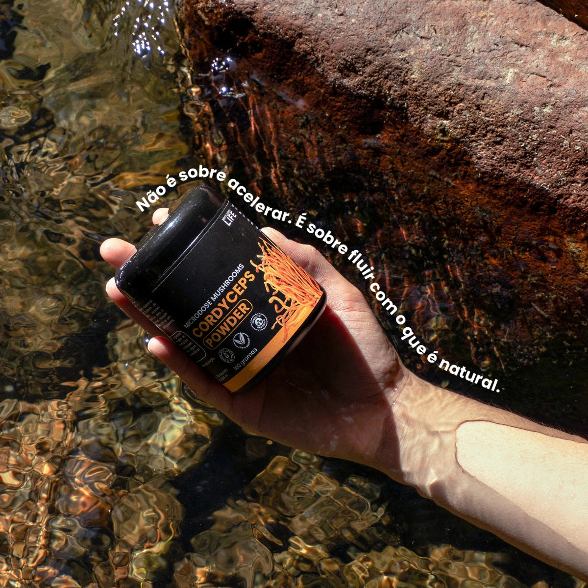 Cogumelo Cordyceps Militaris | Extrato em Pó 100gr