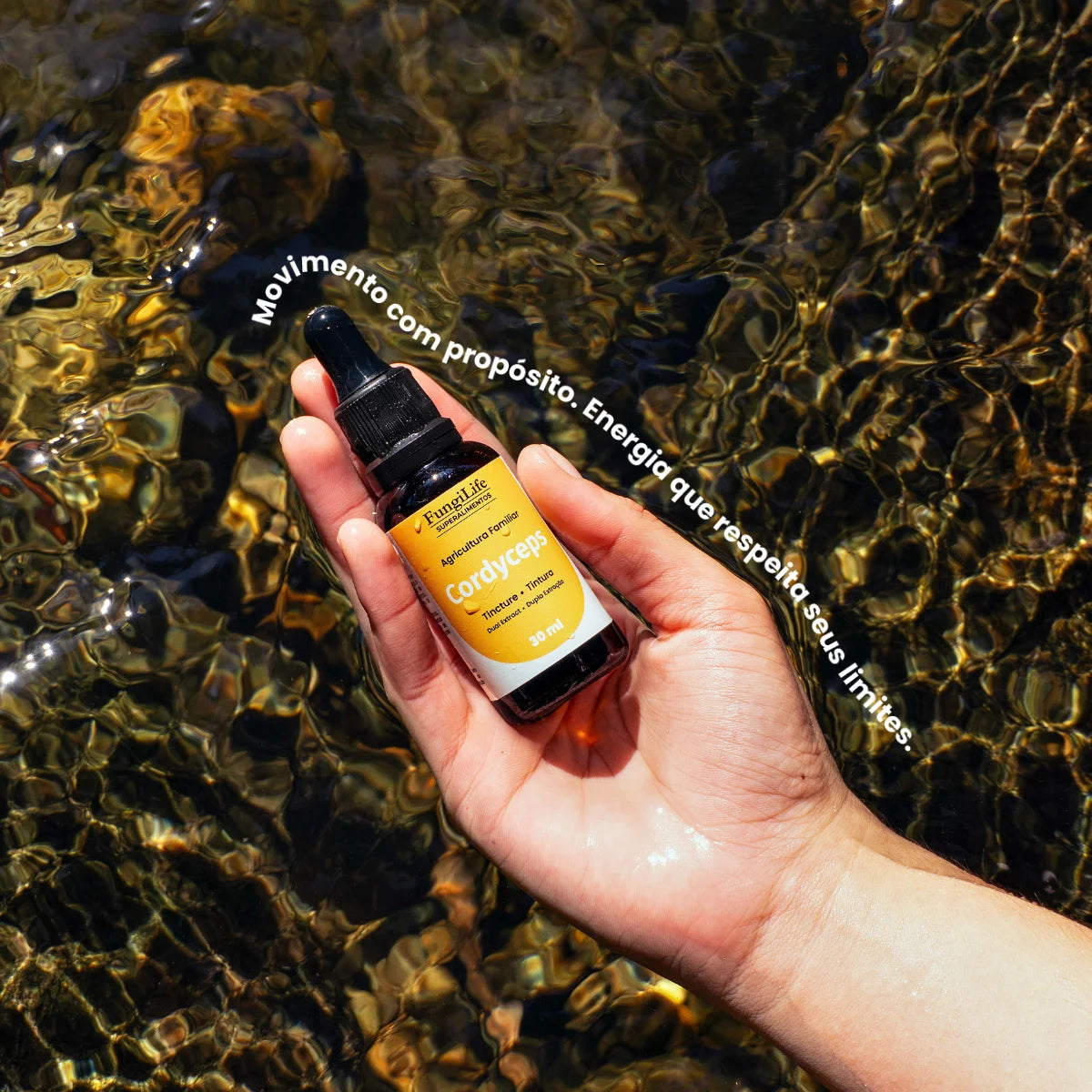 Cogumelo Cordyceps Militaris | Extrato Líquido 30ml