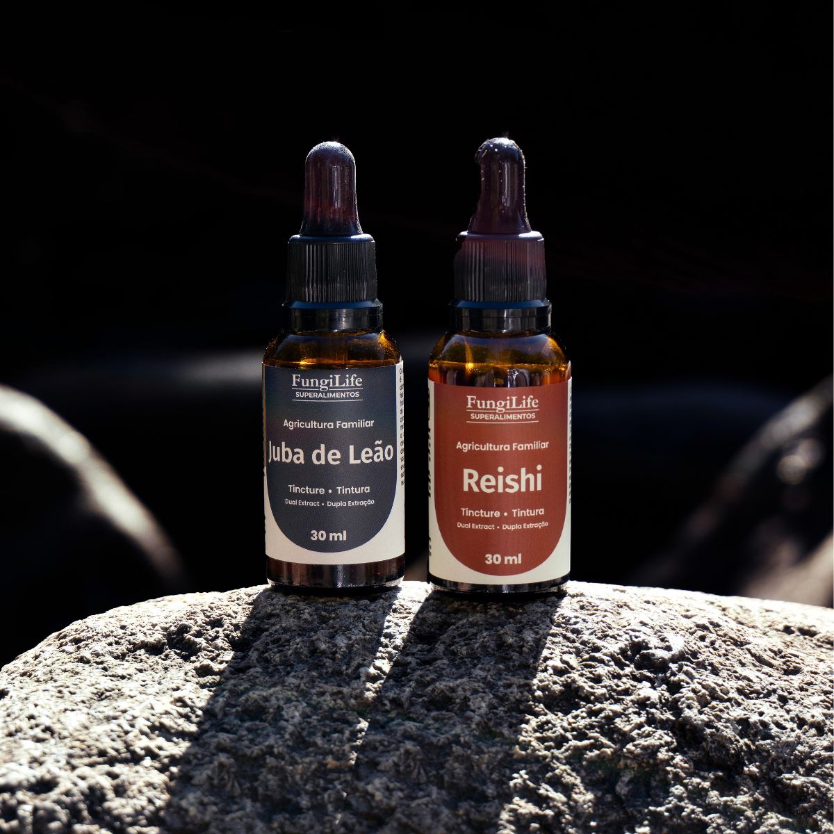 Kit Foco e Equilíbrio | Lions Mane + Reishi | Extrato Líquido 30ml