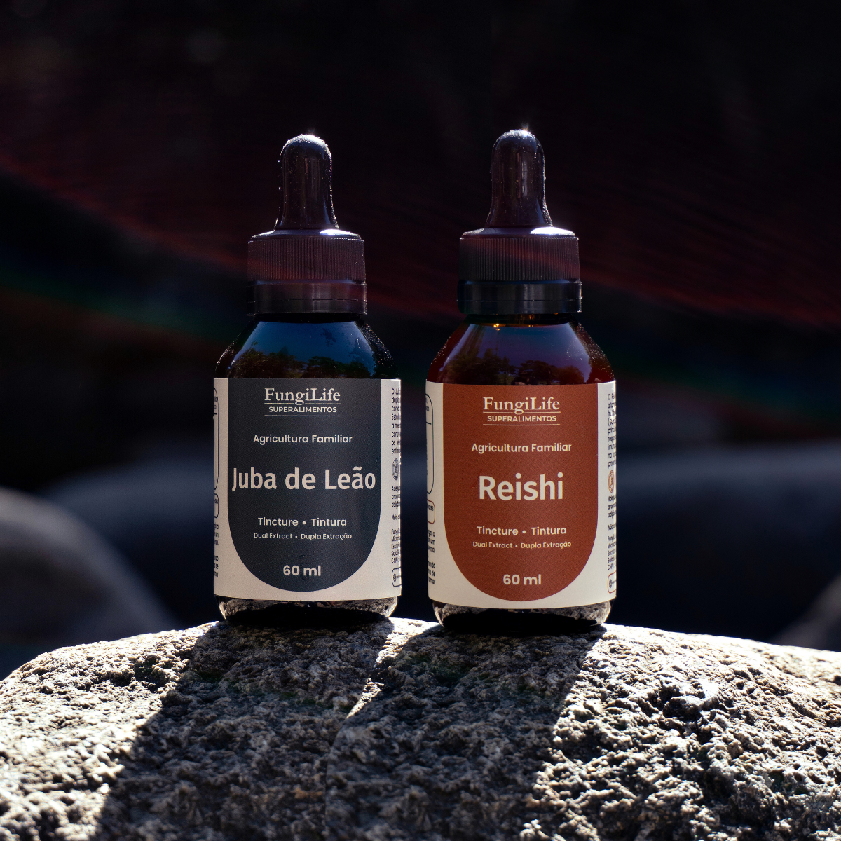 Kit Foco e Equilíbrio Lions Mane + Reishi | Extrato Líquido 60ml