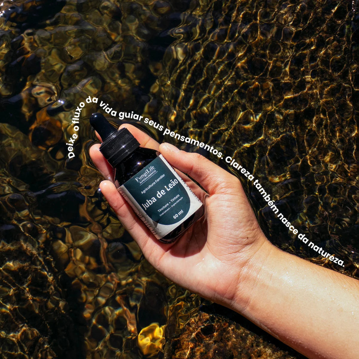 Cogumelo Juba de Leão | Extrato Líquido 60ml