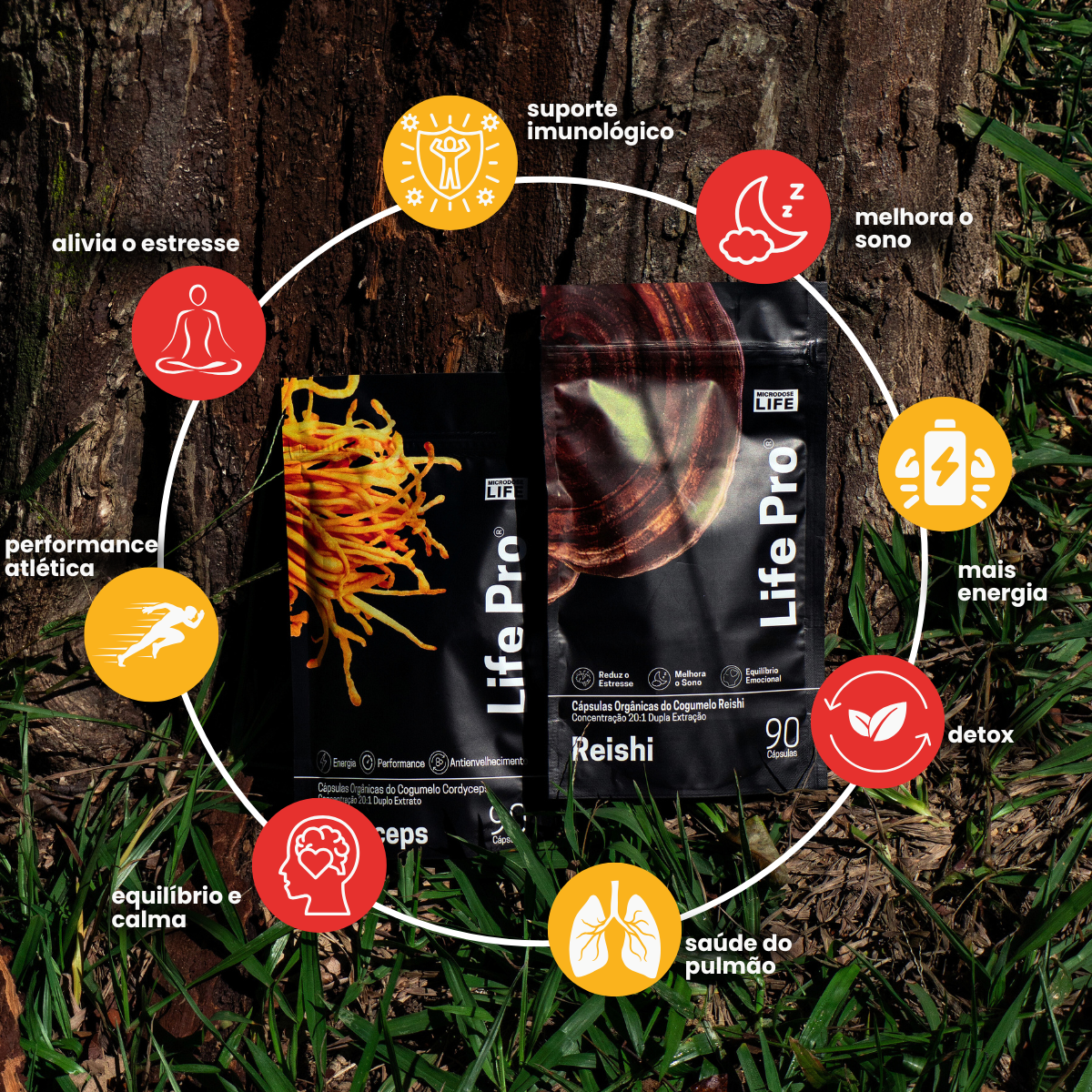 Kit Energia e Equilíbrio Cordyceps Militaris + Reishi Extrato encapsulado 90 caps.