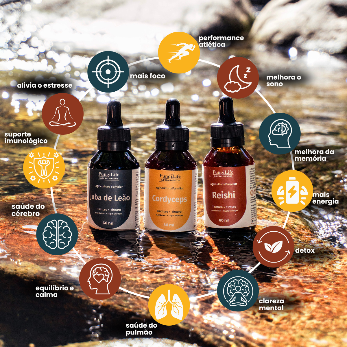 Kit Foco, Energia e Equilíbrio | Juba de Leão + Cordyceps + Reishi | Extrato Líquido 60ml