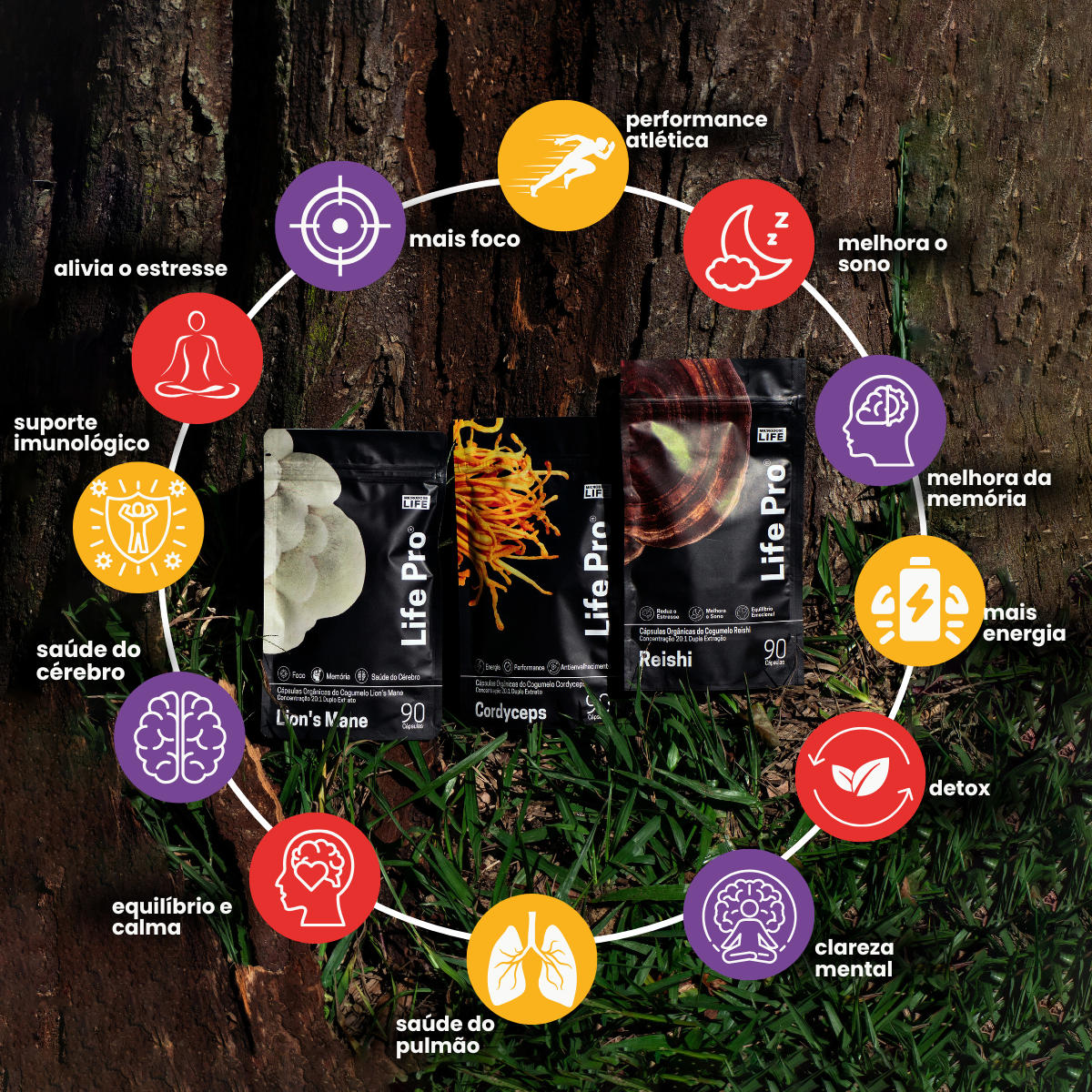 Kit Ultimate | Extrato Encapsulado