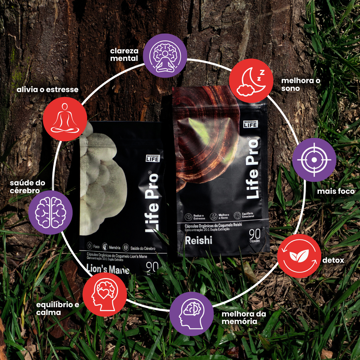 Kit Foco e Equilíbrio | Lion's Mane + Reishi | Extrato Encapsulado 90 Caps