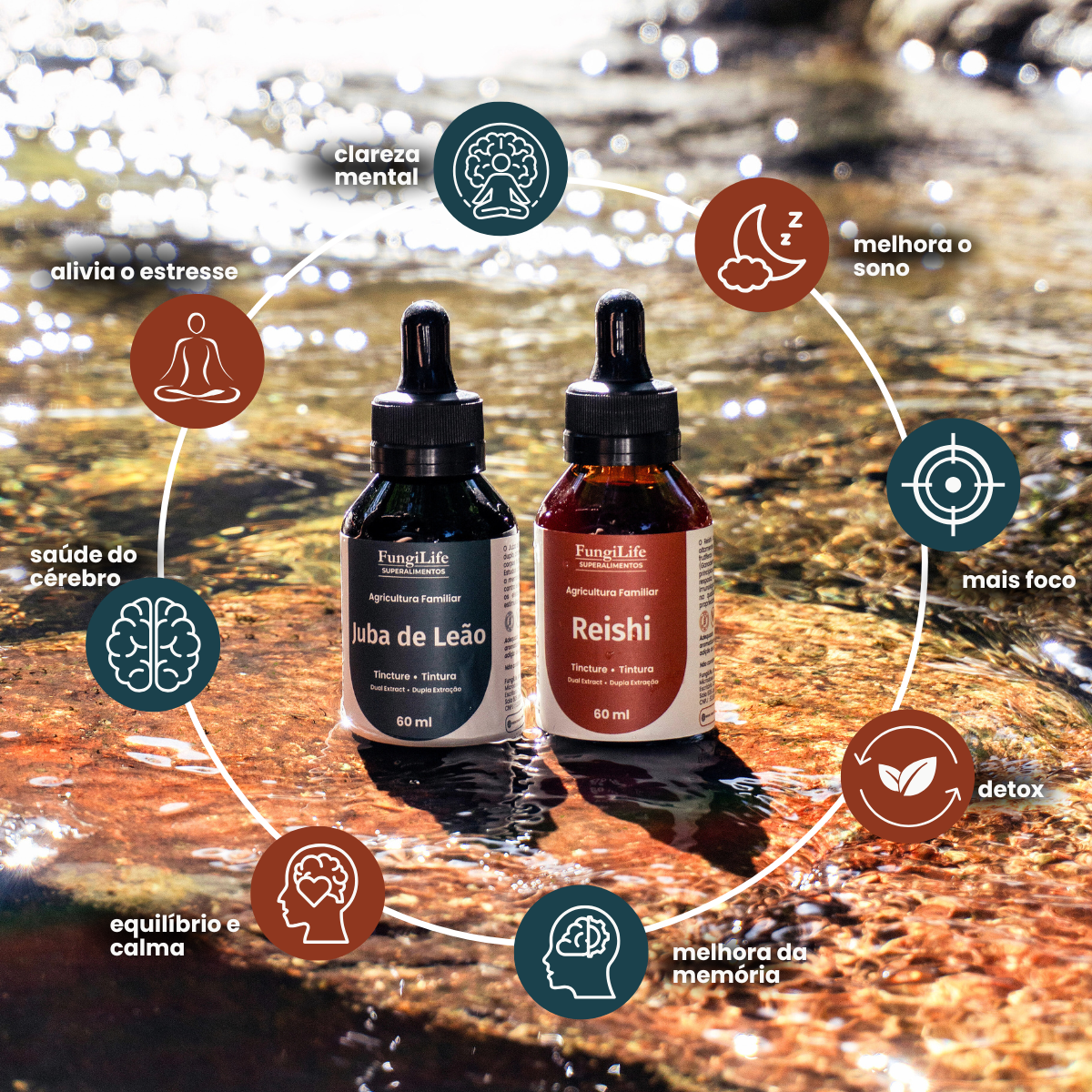 Kit Foco e Equilíbrio Lions Mane + Reishi | Extrato Líquido 60ml