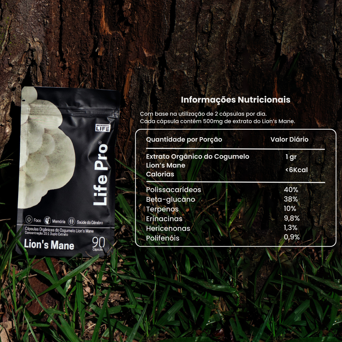 Kit Foco, Energia e Equilíbrio | Lions Mane + Cordyceps + Reishi