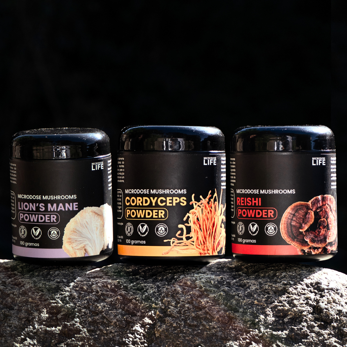Kit Foco, Energia e Equilíbrio Lion's Mane + Cordyceps Militaris + Reishi | Extrato em Pó 100gr