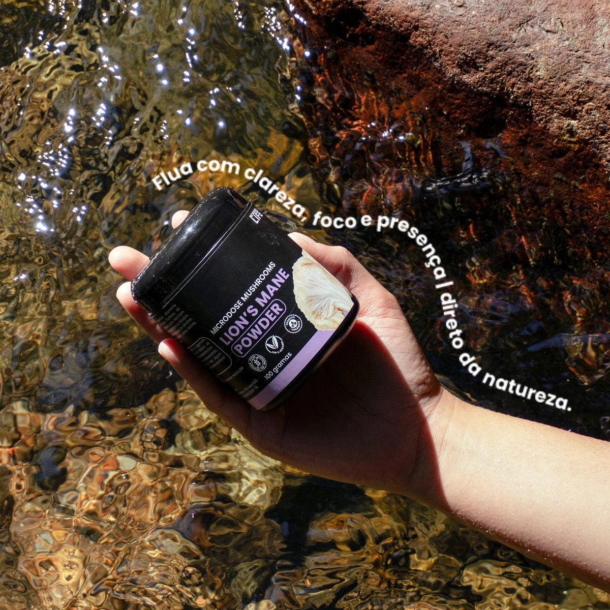 Cogumelo Lion's Mane (Juba de Leão) | Extrato em Pó 100g