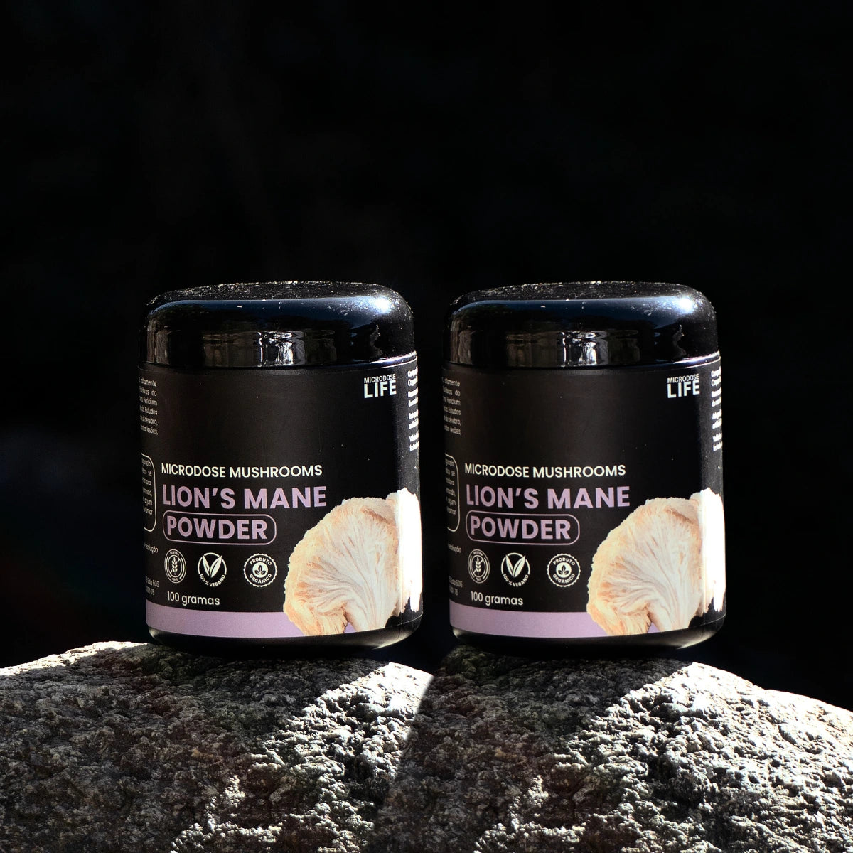 Cogumelo Lion's Mane (Juba de Leão) | Extrato em Pó 100g