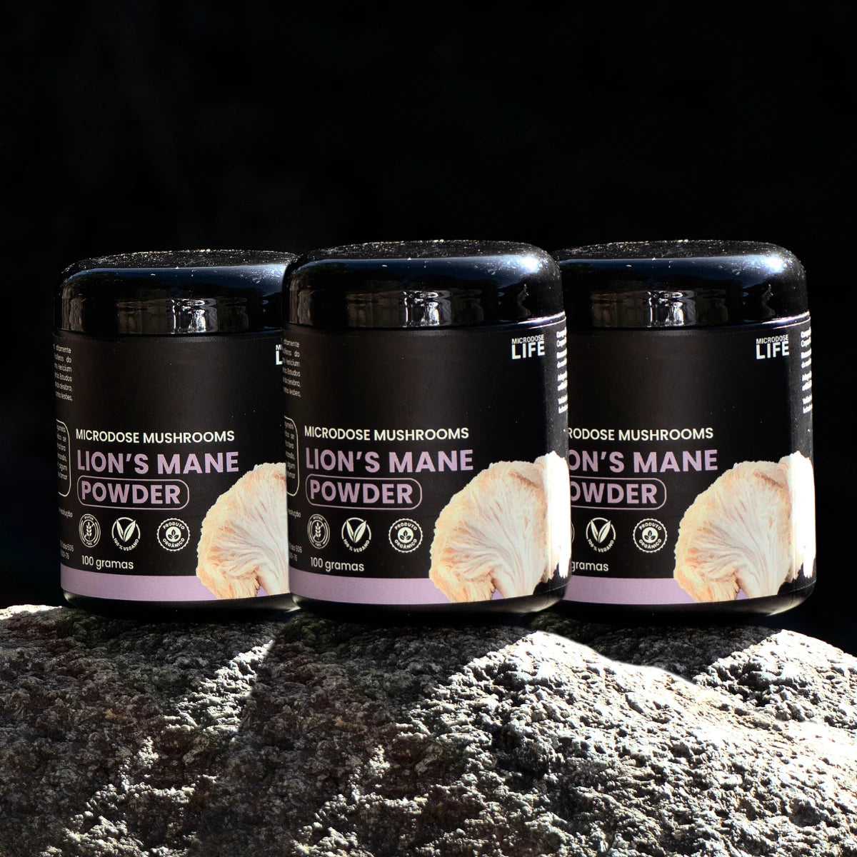 Cogumelo Lion's Mane (Juba de Leão) | Extrato em Pó 100g