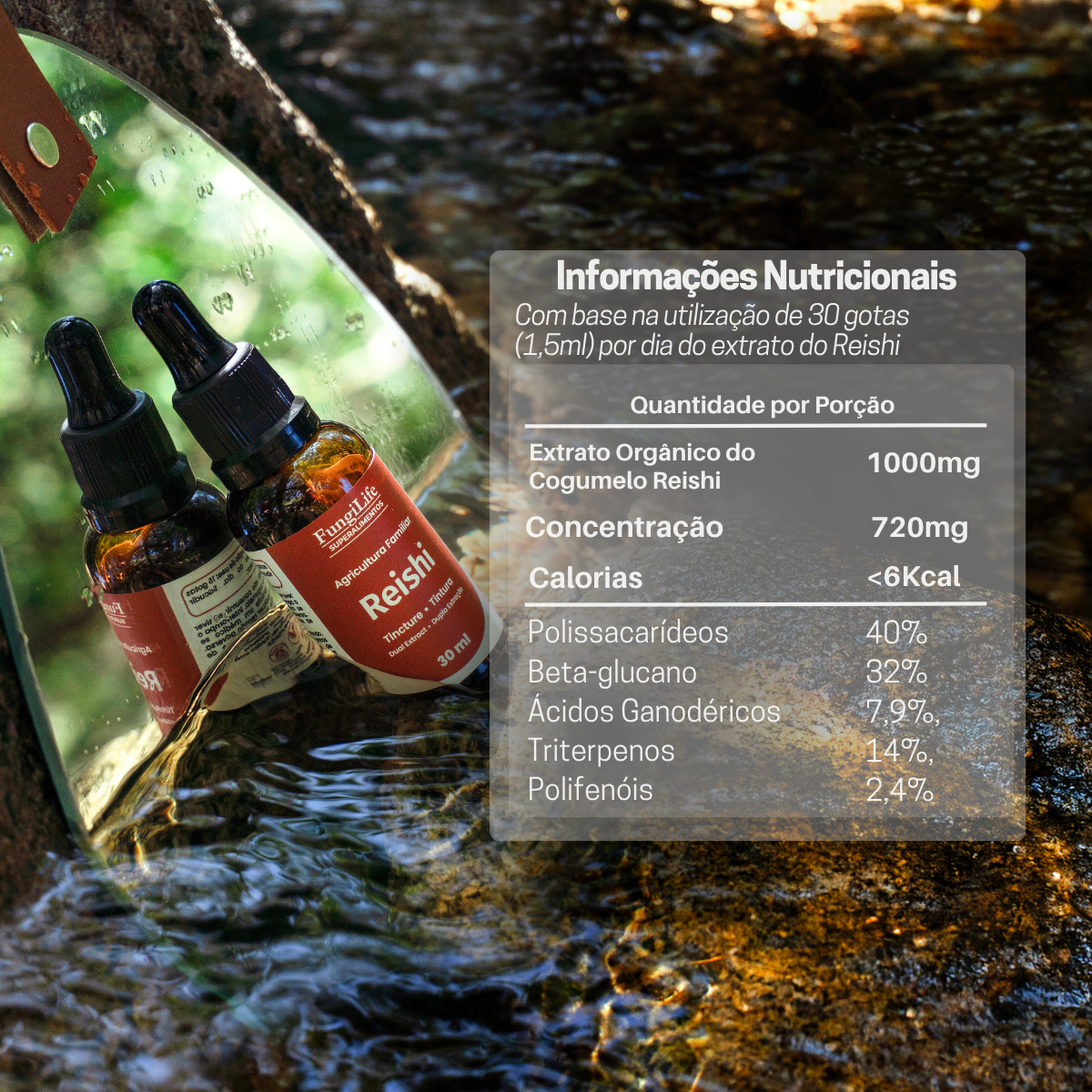 Kit Foco e Equilíbrio | Lions Mane + Reishi | Extrato Líquido 30ml