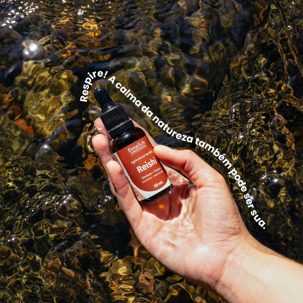 Cogumelo Reishi | Extrato Líquido 30ml