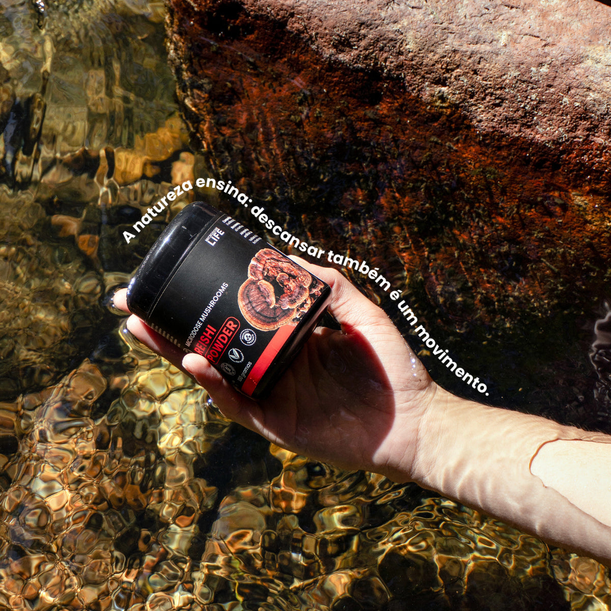 Cogumelo Reishi | Extrato em Pó 100g