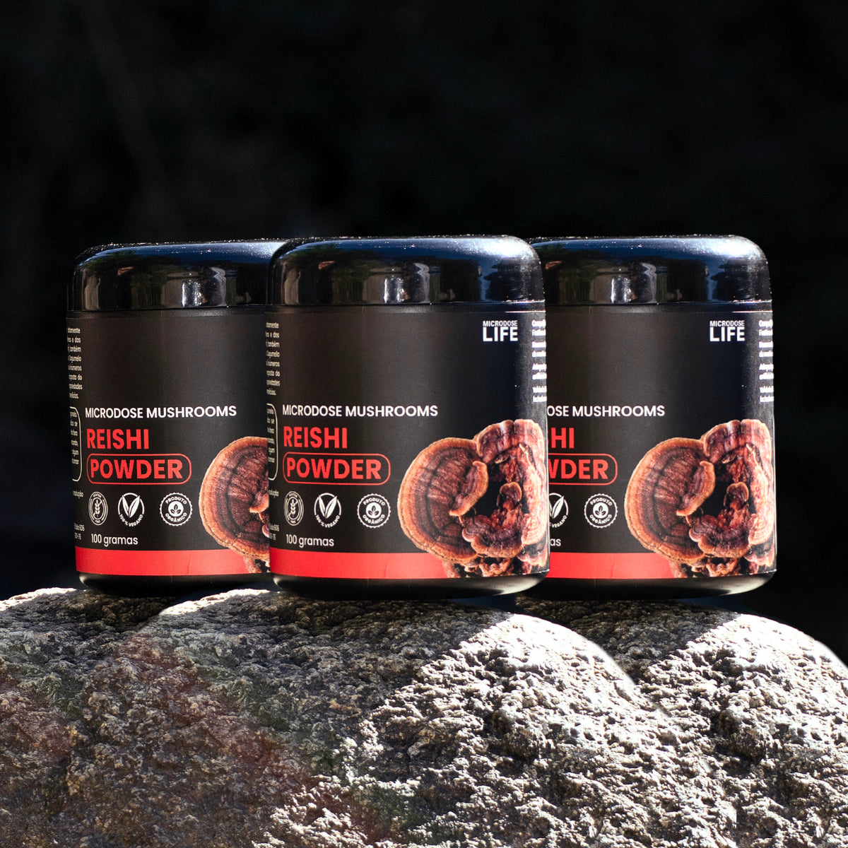 Cogumelo Reishi | Extrato em Pó 100g