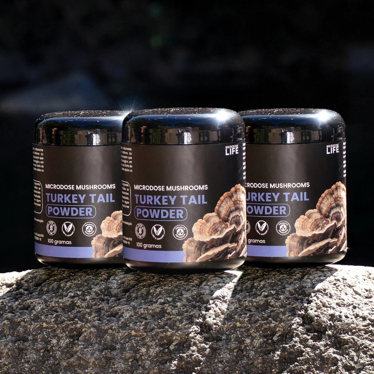 Cogumelo Turkey Tail (Cauda de Peru) | Extrato em Pó 100g