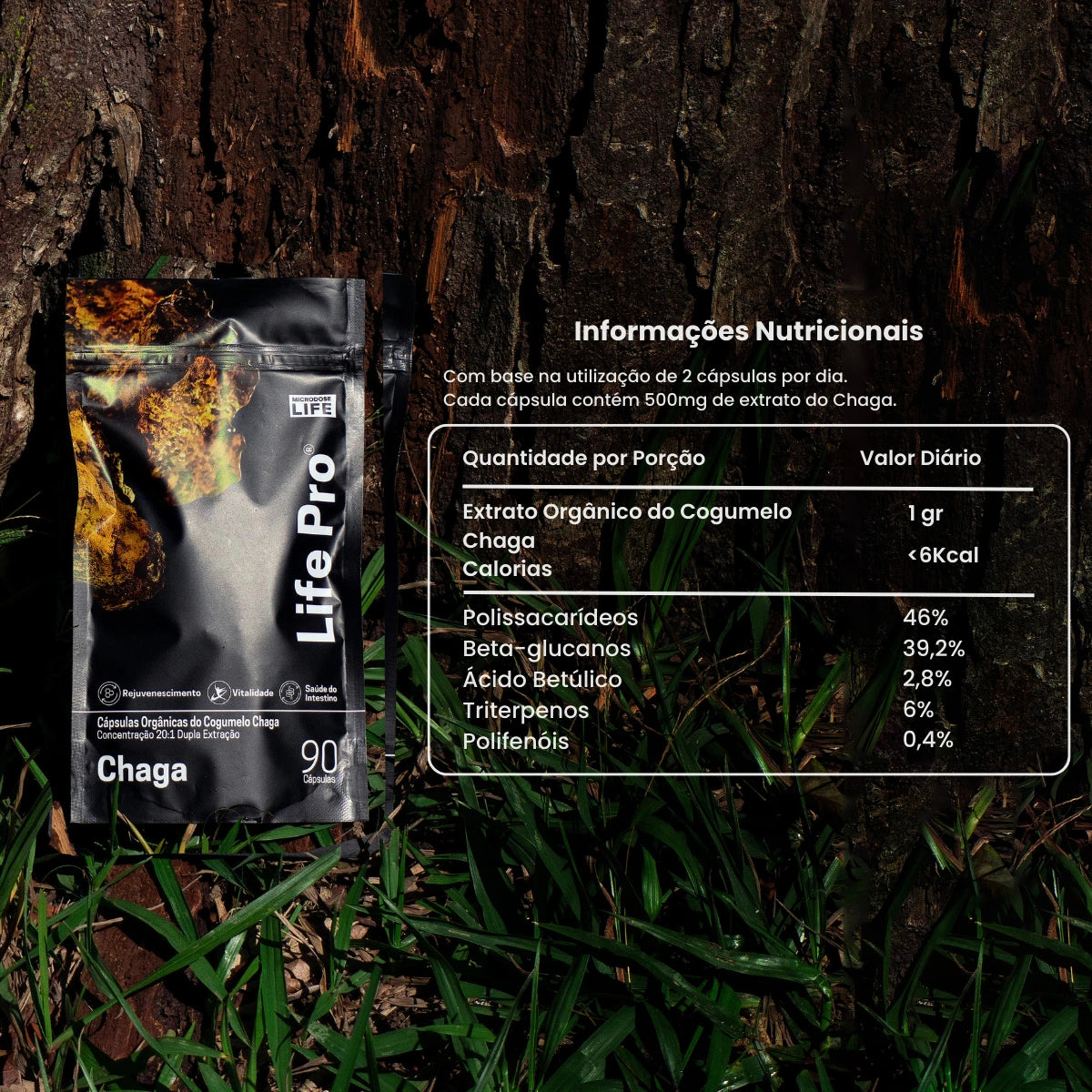 Cogumelo Chaga | Extrato Encapsulado 90 caps