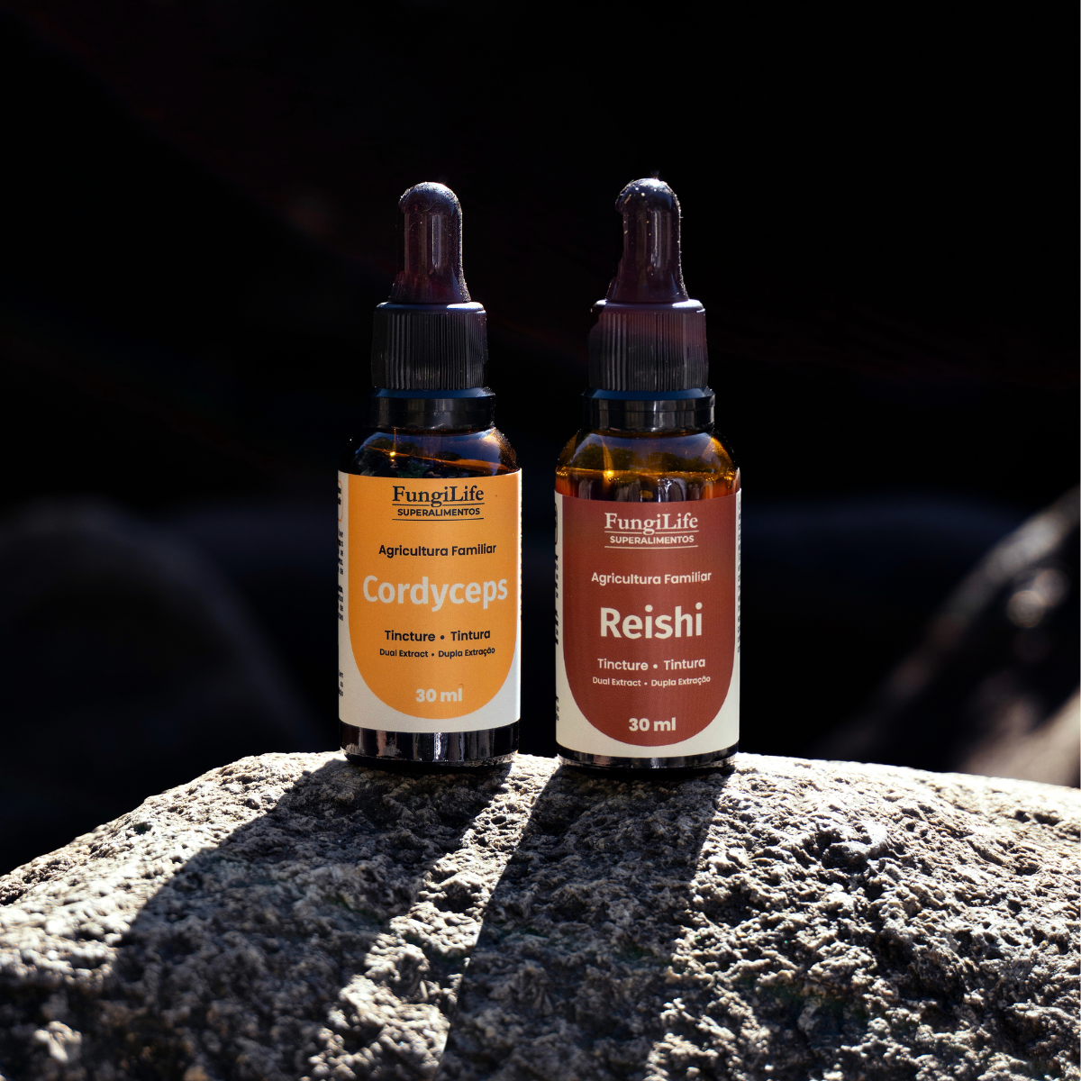 Kit Energia e Equilibrio | Cordyceps + Reishi | Extrato Líquido 30ml