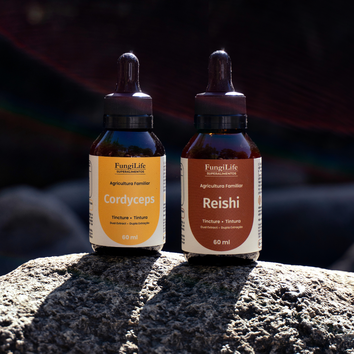 Kit Energia e Equilibrio Cordyceps Reishi Extrato Liquido 60ml