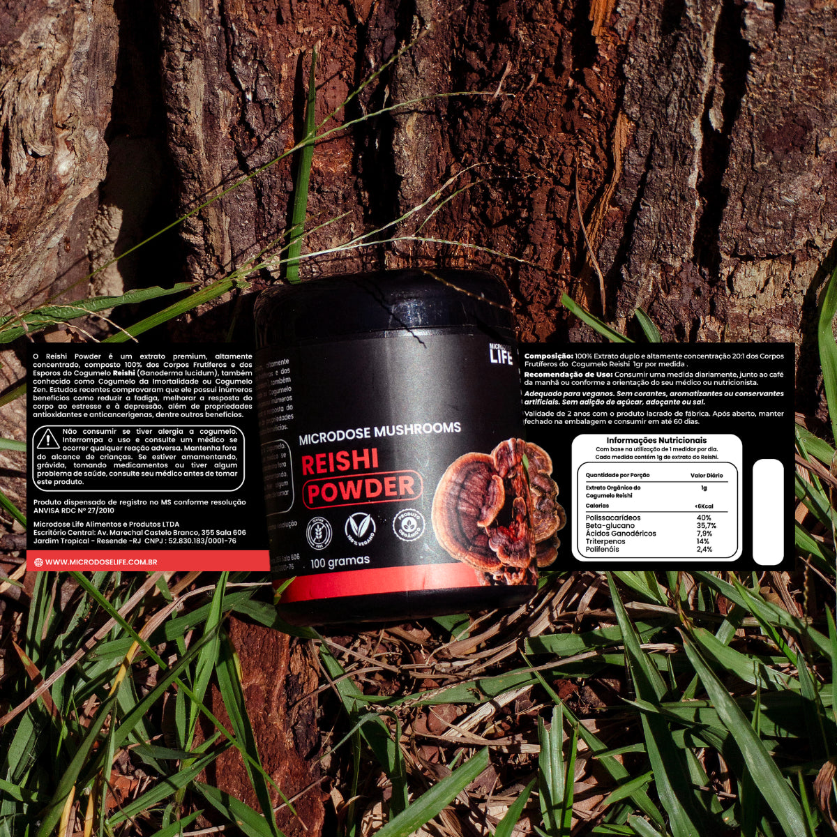 Cogumelo Reishi | Extrato em Pó 100g