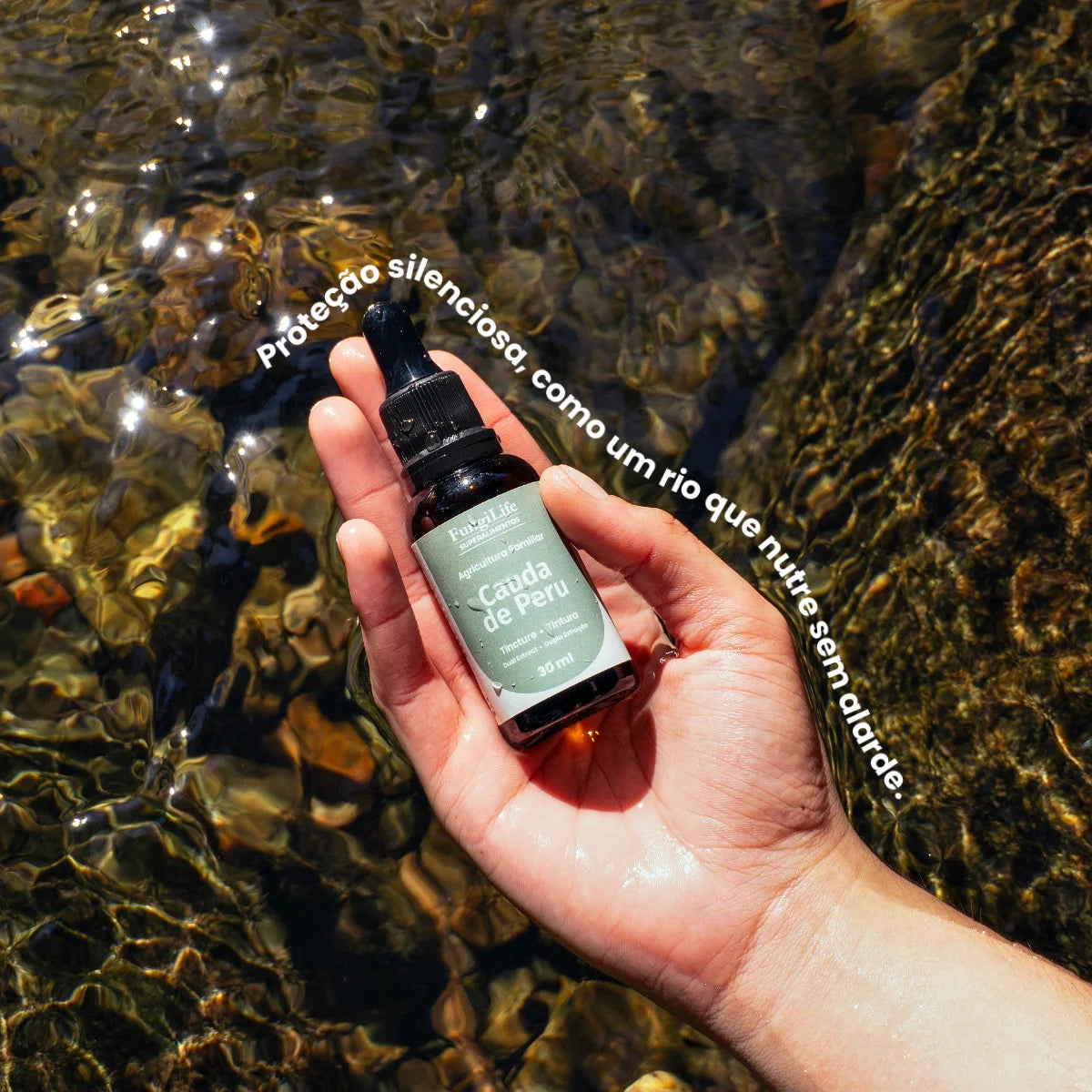 Cogumelo Cauda de Peru | Extrato Líquido 30ml