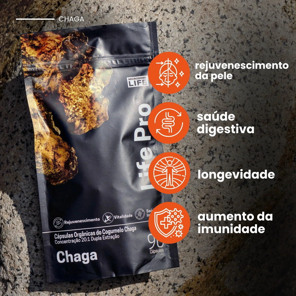 Cogumelo Chaga | Extrato Encapsulado 90 caps