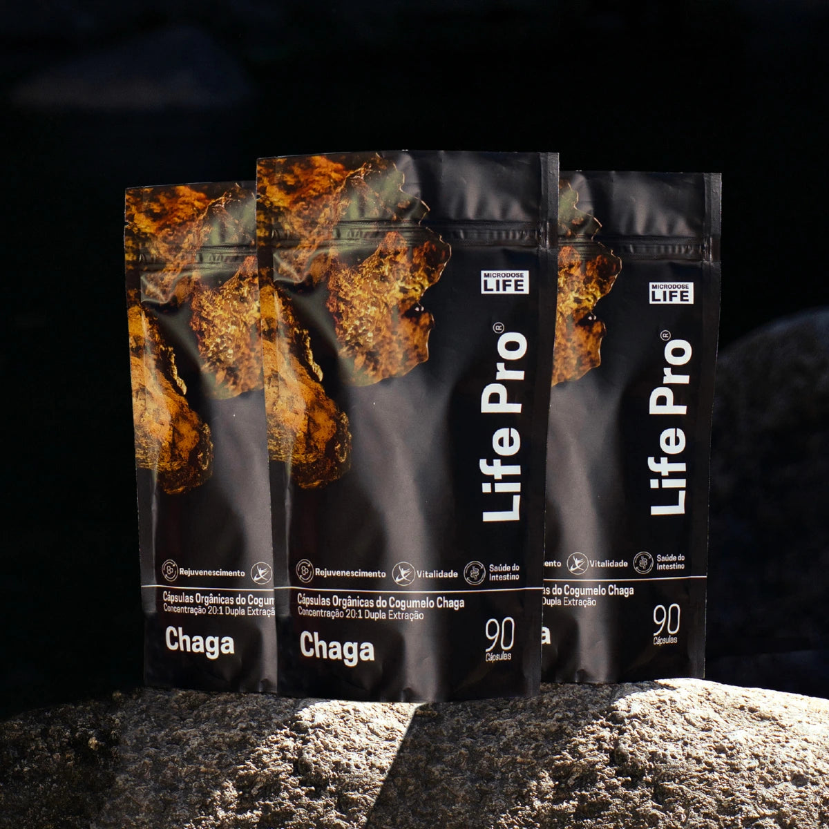 Cogumelo Chaga | Extrato Encapsulado 90 caps