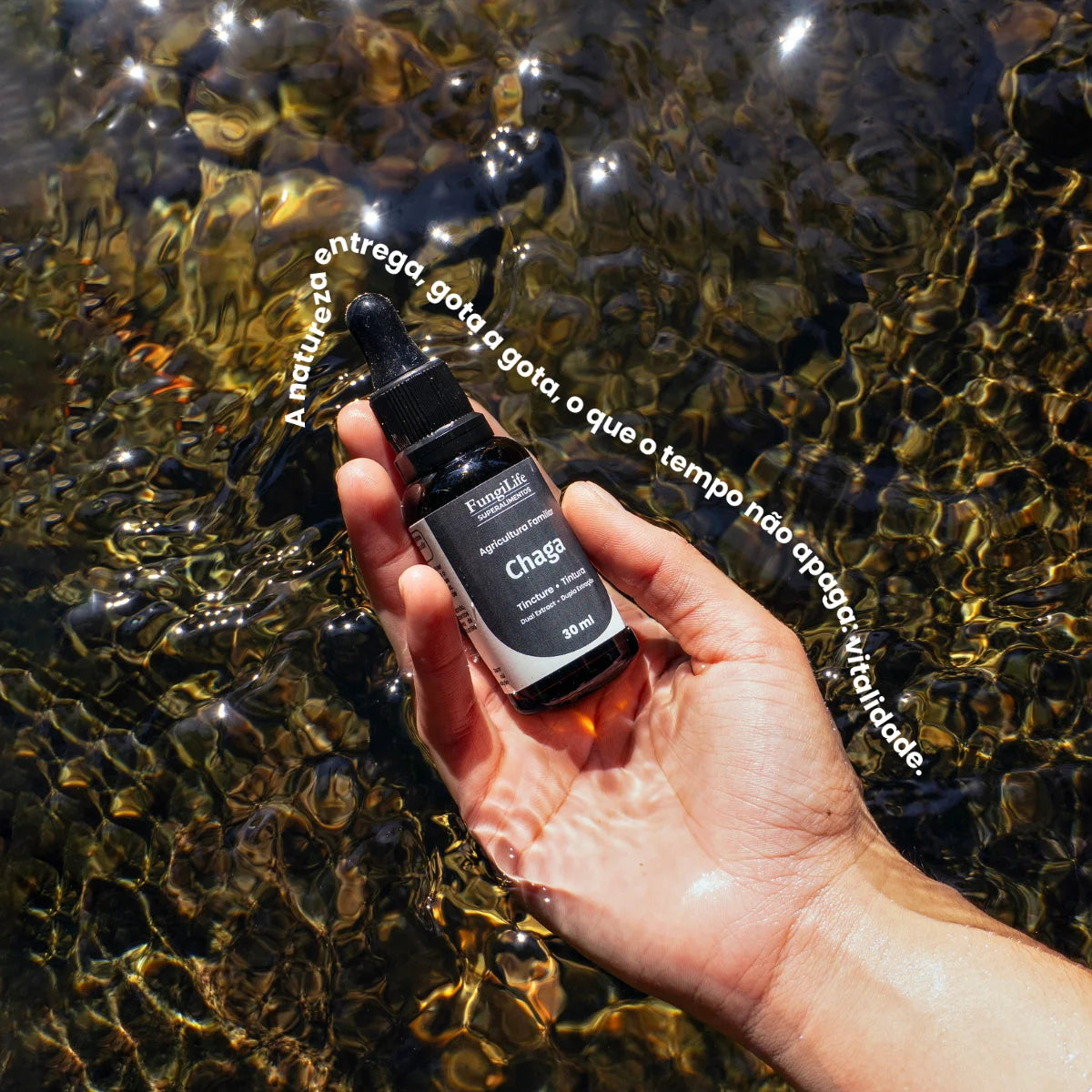 Cogumelo Chaga | Extrato Líquido 30ml