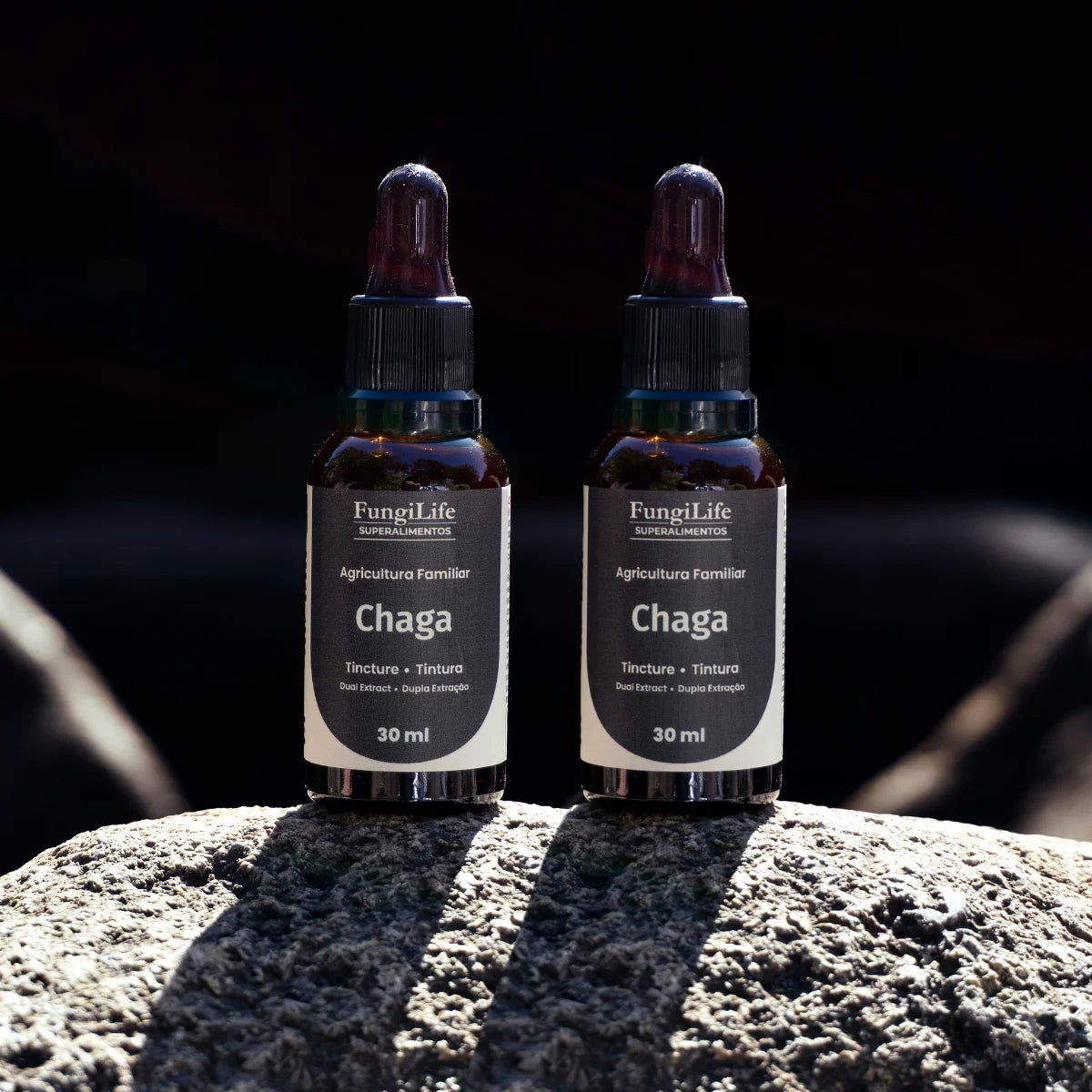 Cogumelo Chaga | Extrato Líquido 30ml