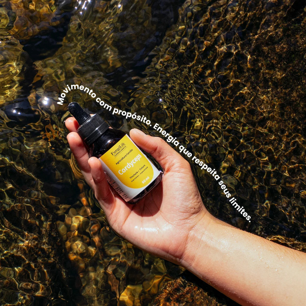 Cogumelo Cordyceps Militaris | Extrato Líquido 60ml