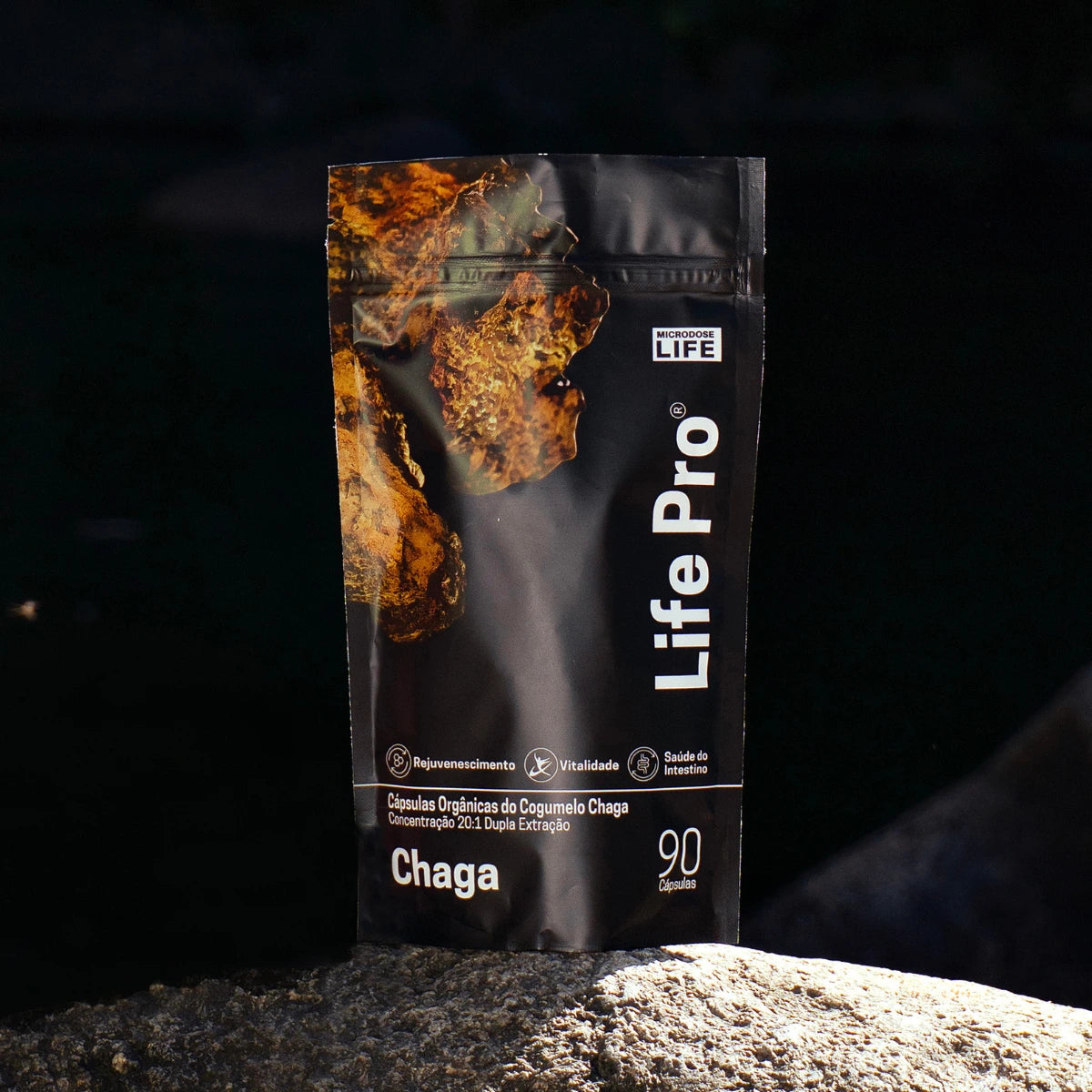 Cogumelo Chaga | Extrato Encapsulado 90 caps