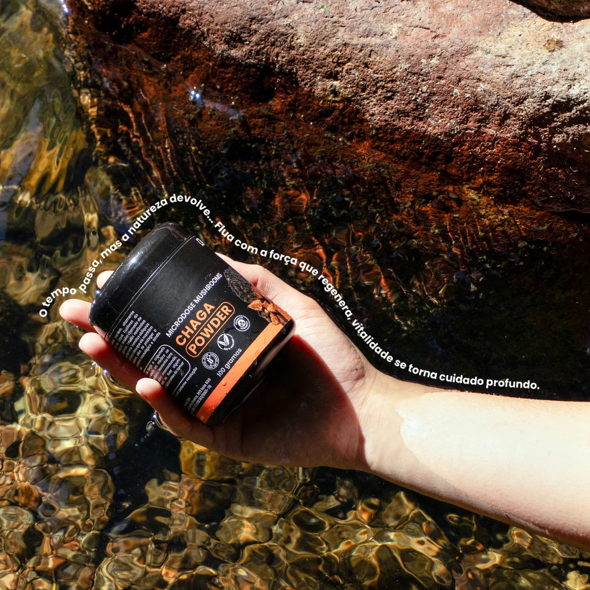 Cogumelo Chaga | Extrato em Pó 100g