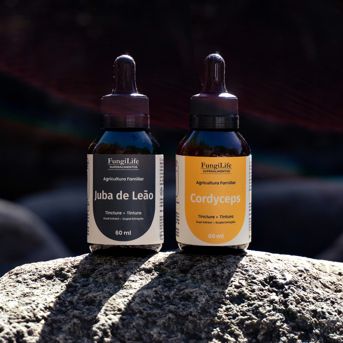 Kit Foco e Energia Lion's Mane + Cordyceps Militaris | Extrato Líquido 60ml