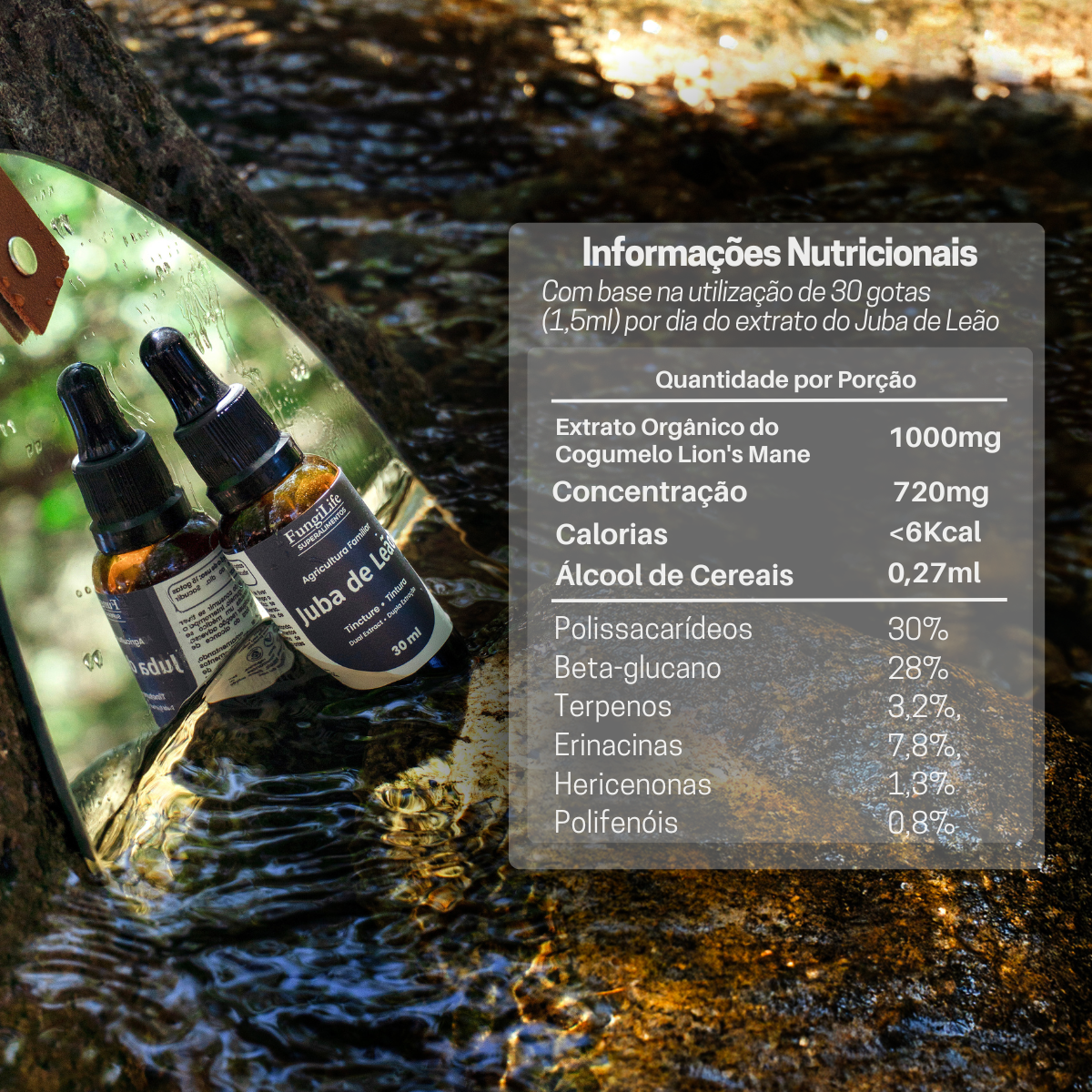 Kit Foco e Equilíbrio | Lions Mane + Reishi | Extrato Líquido 30ml