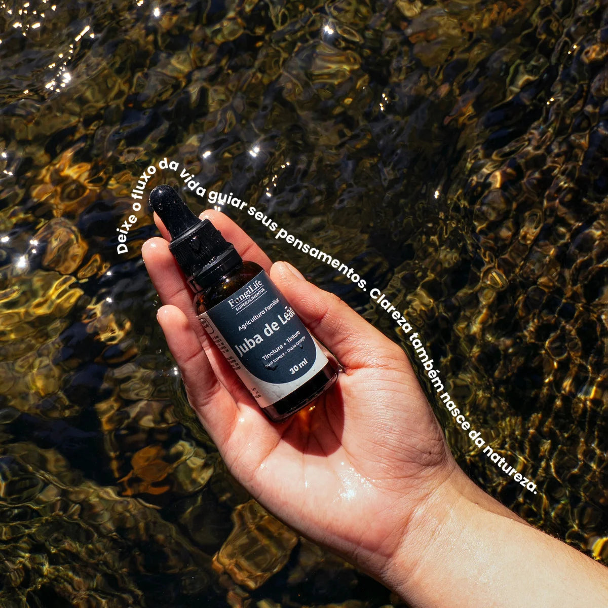 Cogumelo Juba de Leão | Extrato Líquido 30ml