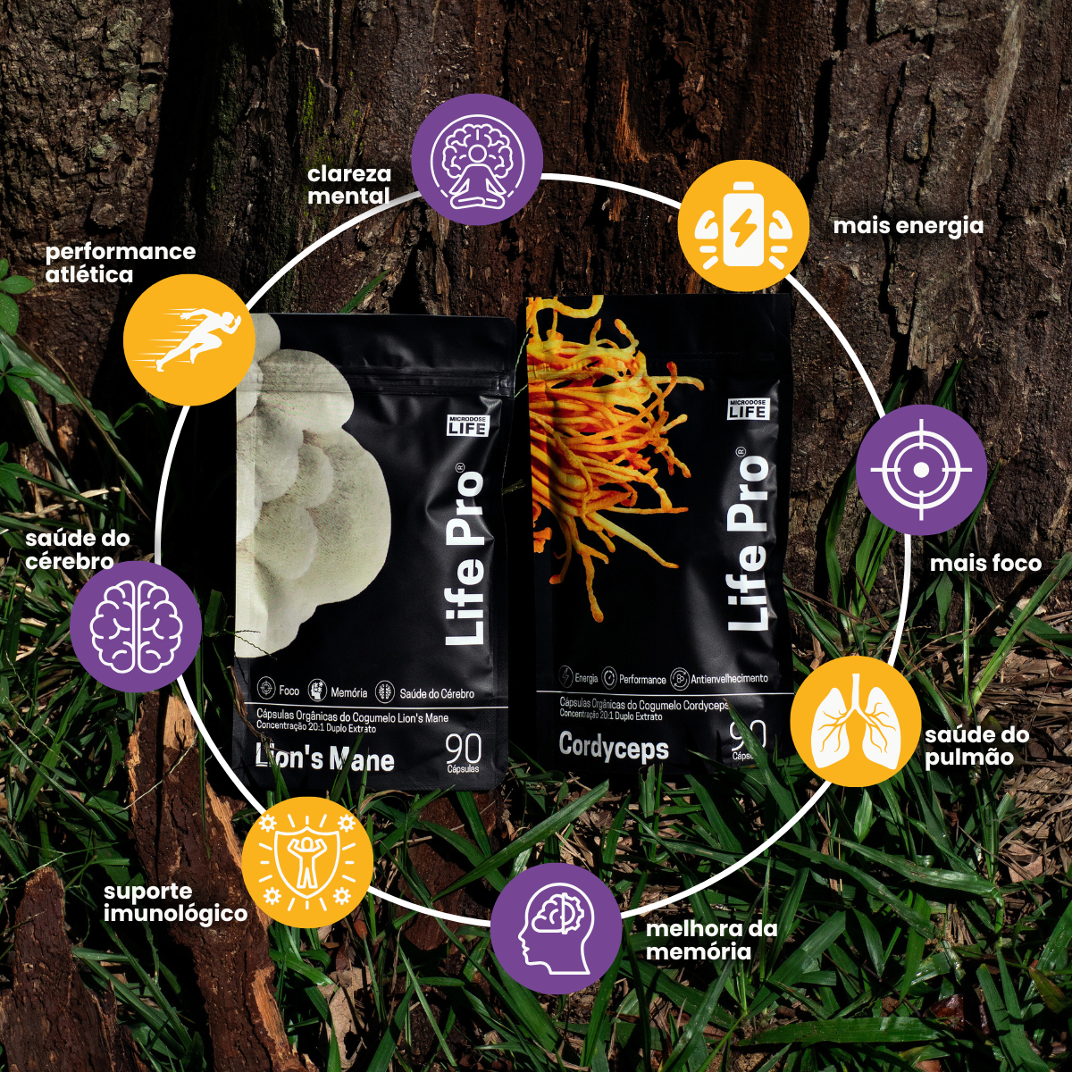 Kit Foco e Energia Lions Mane + Cordyceps Militaris | Extrato encapsulado 90 caps