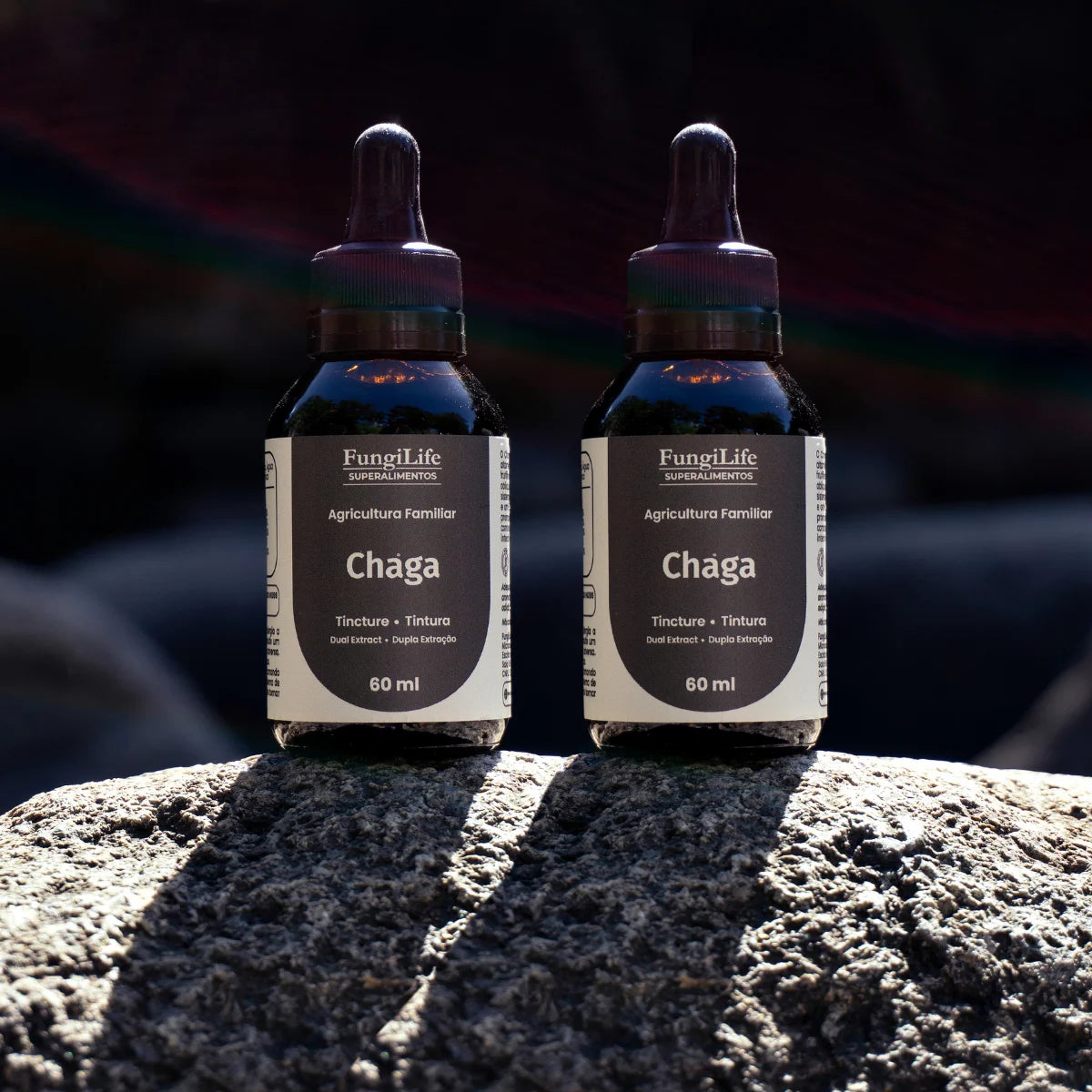 Cogumelo Chaga | Extrato Líquido 60ml