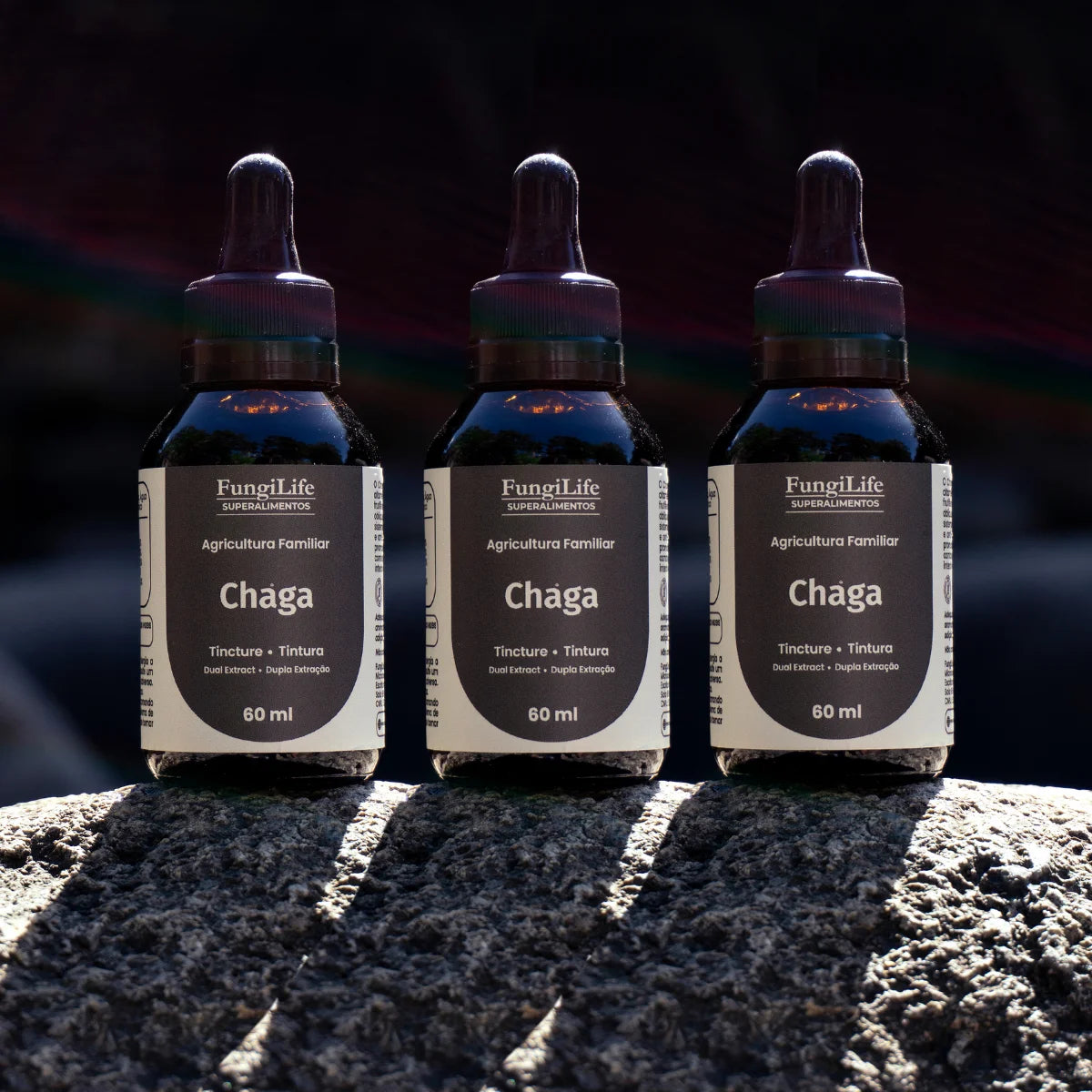 Cogumelo Chaga | Extrato Líquido 60ml