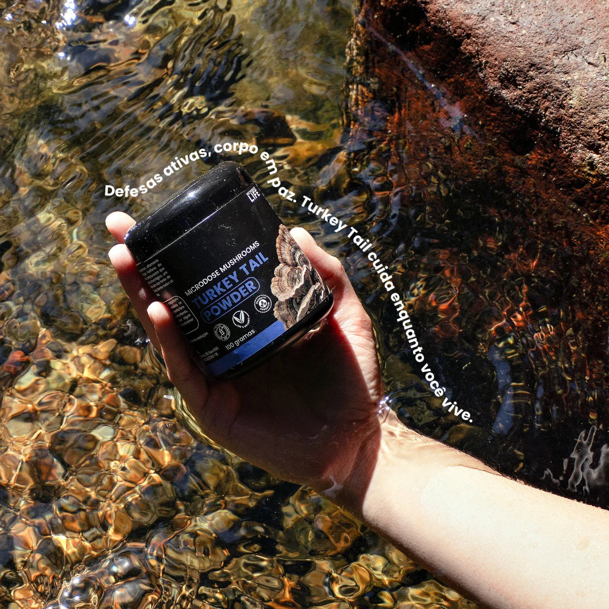 Cogumelo Turkey Tail (Cauda de Peru) | Extrato em Pó 100g